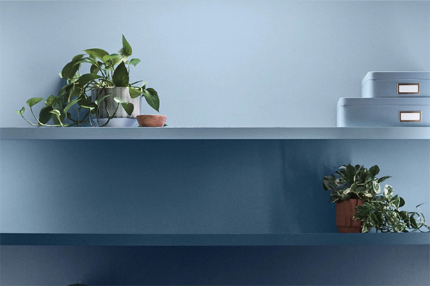 Home office wall shelving painted different hues of blue, with potted plants and storage containers within the shelves.