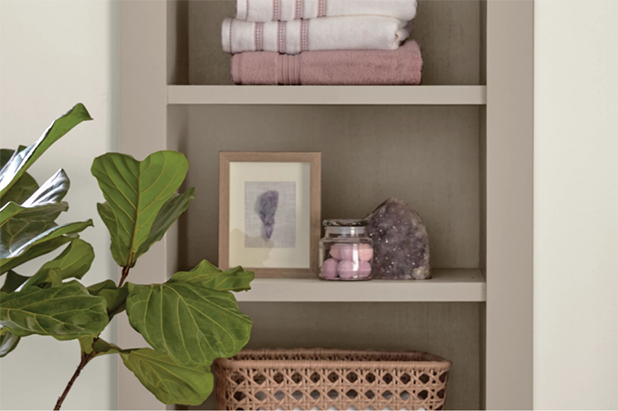 Open shelving with linens and bathroom accessories. A potted plant in foreground.