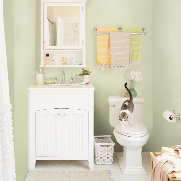 Powder room with farmhouse style vanity and mirror. A cat standing on a closed toilet seat. Walls painted grass cloth green.